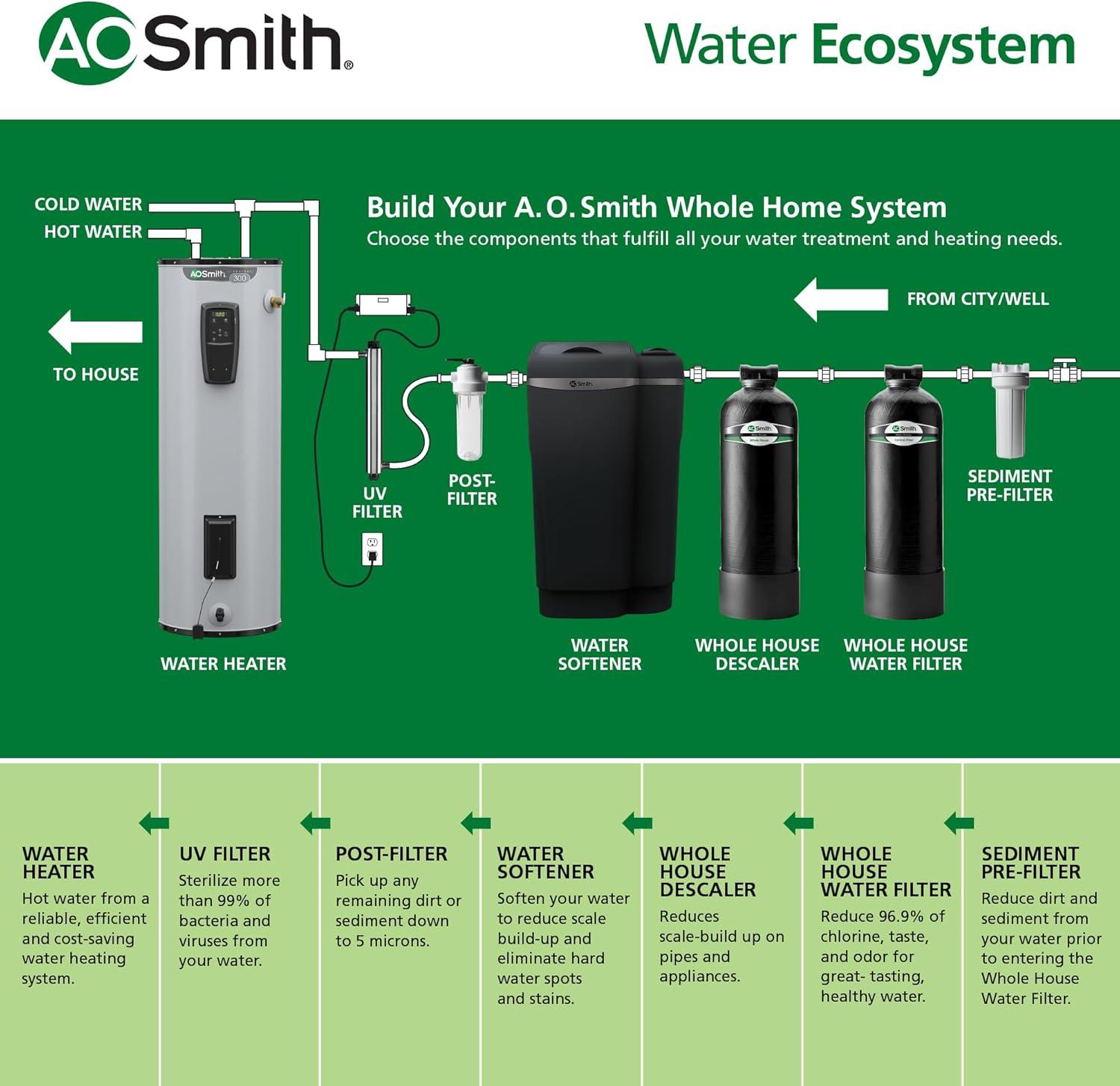 AO Smith Black Whole House Water Filter System