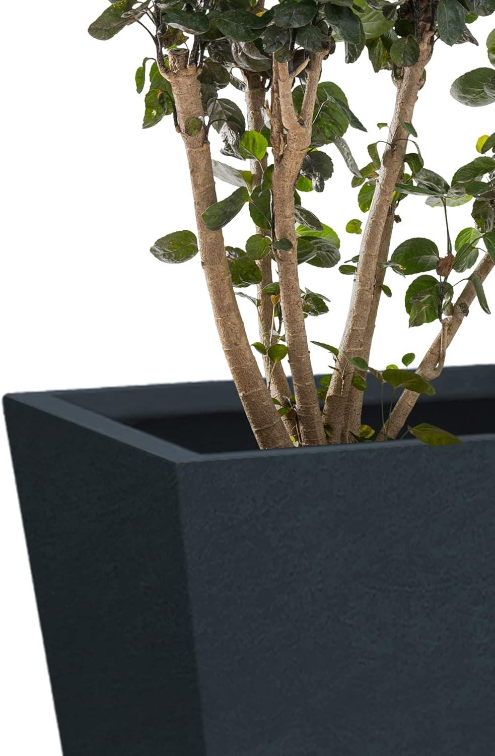 Charcoal Finish Tall Concrete Planter Set with Drainage Holes