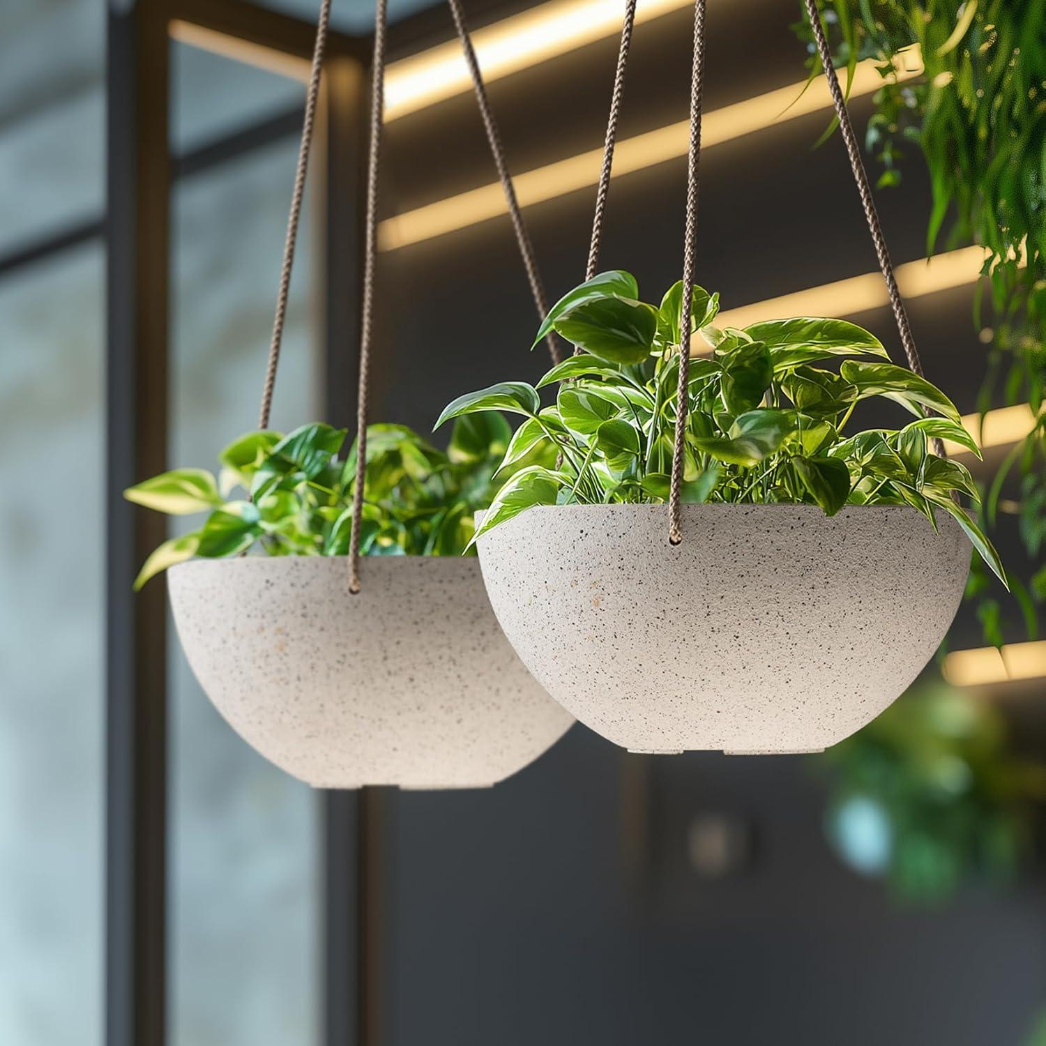 Boxdale Hanging Planter - Set of 2 (Set of 2)