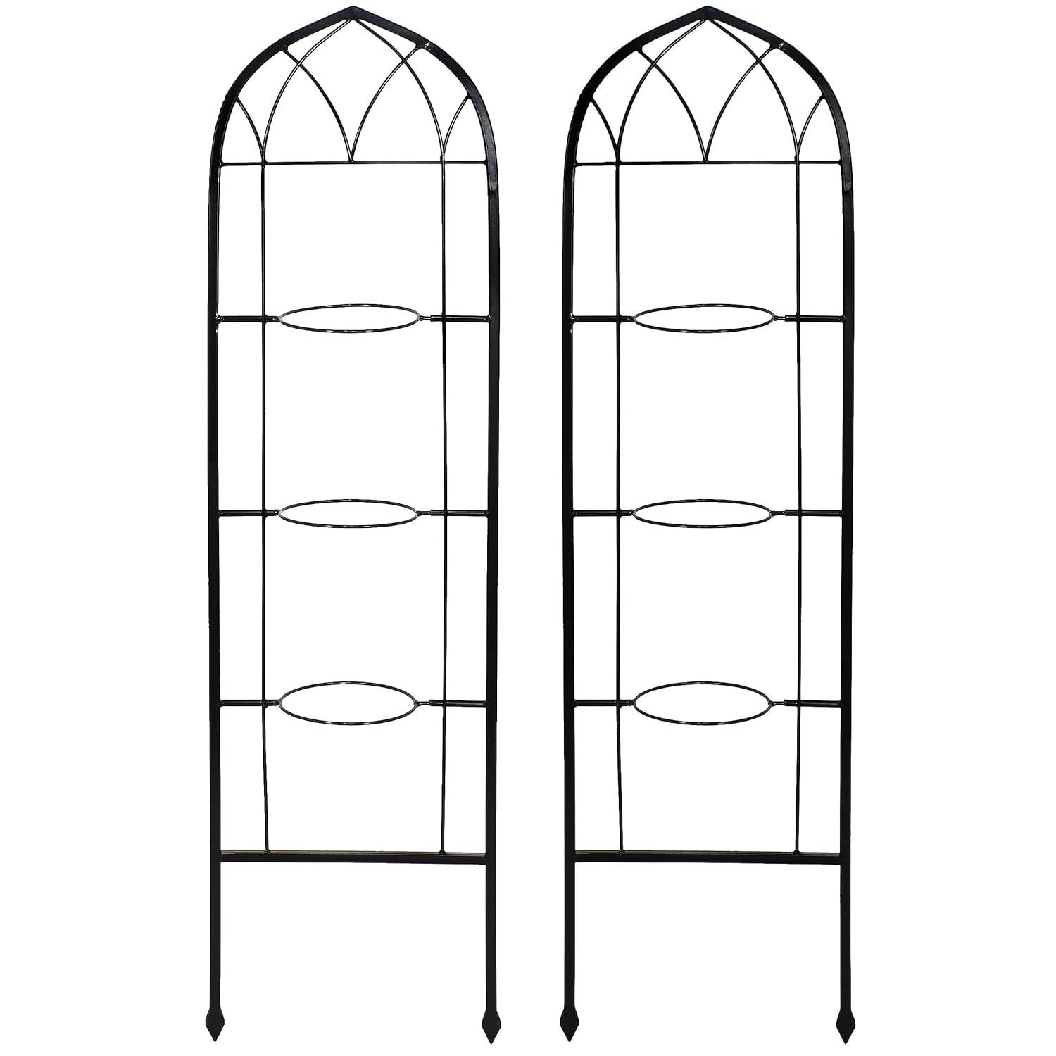 Winston Porter Avonlee Black Steel Arched Garden Trellis for Climbing Plants (Set of 2)