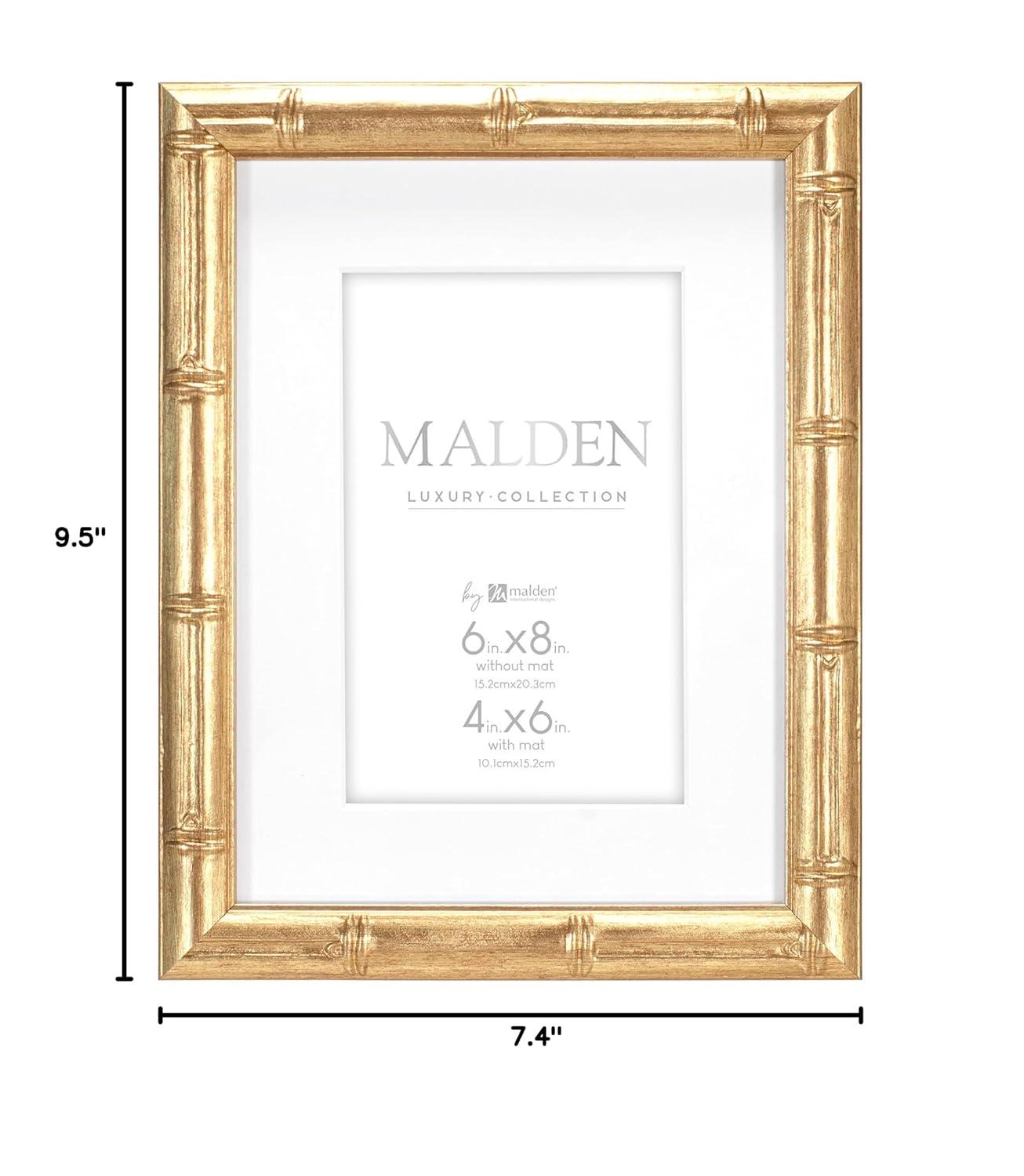 Malden Gold Picture Frame with Mat