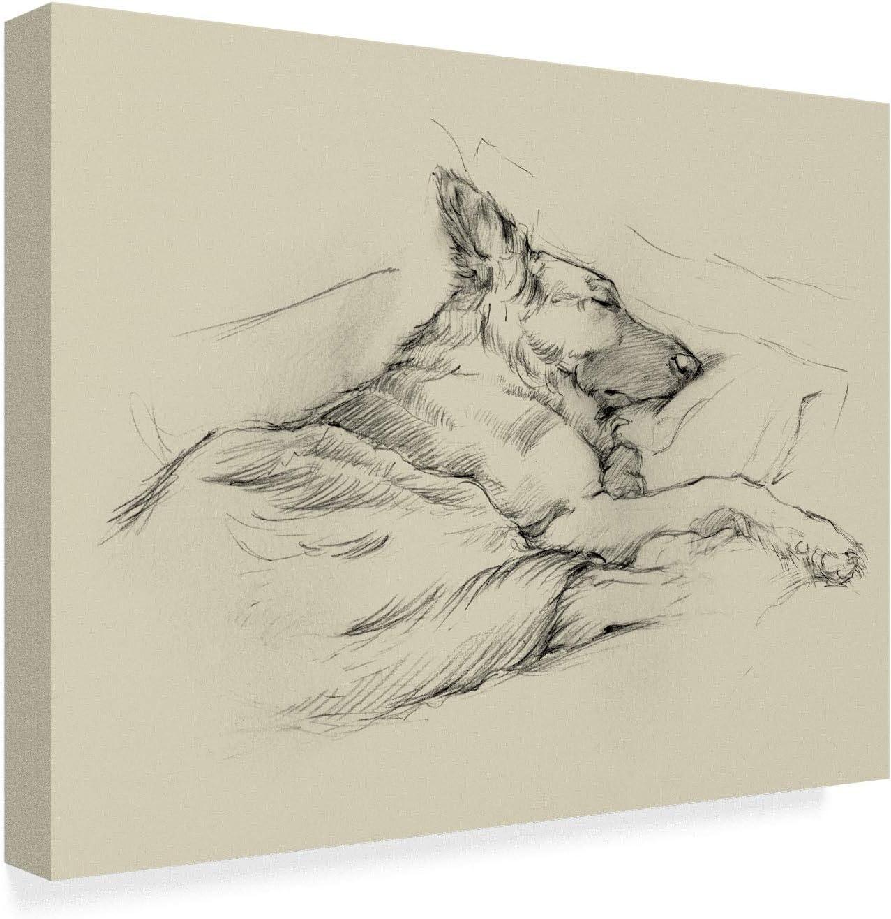 Ethan Harper Framed Dog Sketch Canvas Art, 14x19