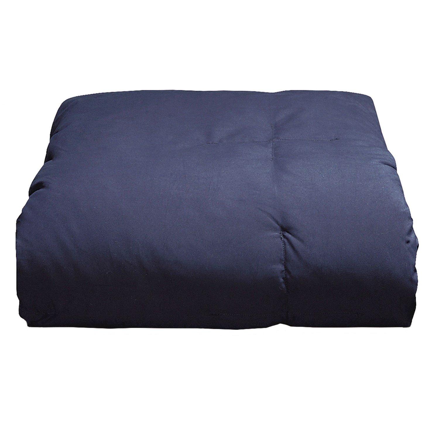 Blue Ridge Home Fashions Two-Tone Reversible Microfiber Down Alternative All Season Comforter-Hypoallergenic Polyester Fill, King, Purple/Violet