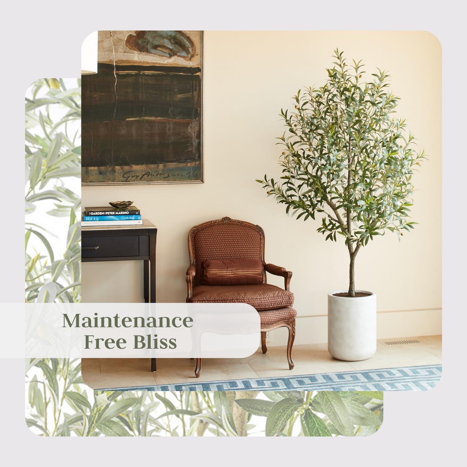 CG Hunter 7FT Olive Tree KD