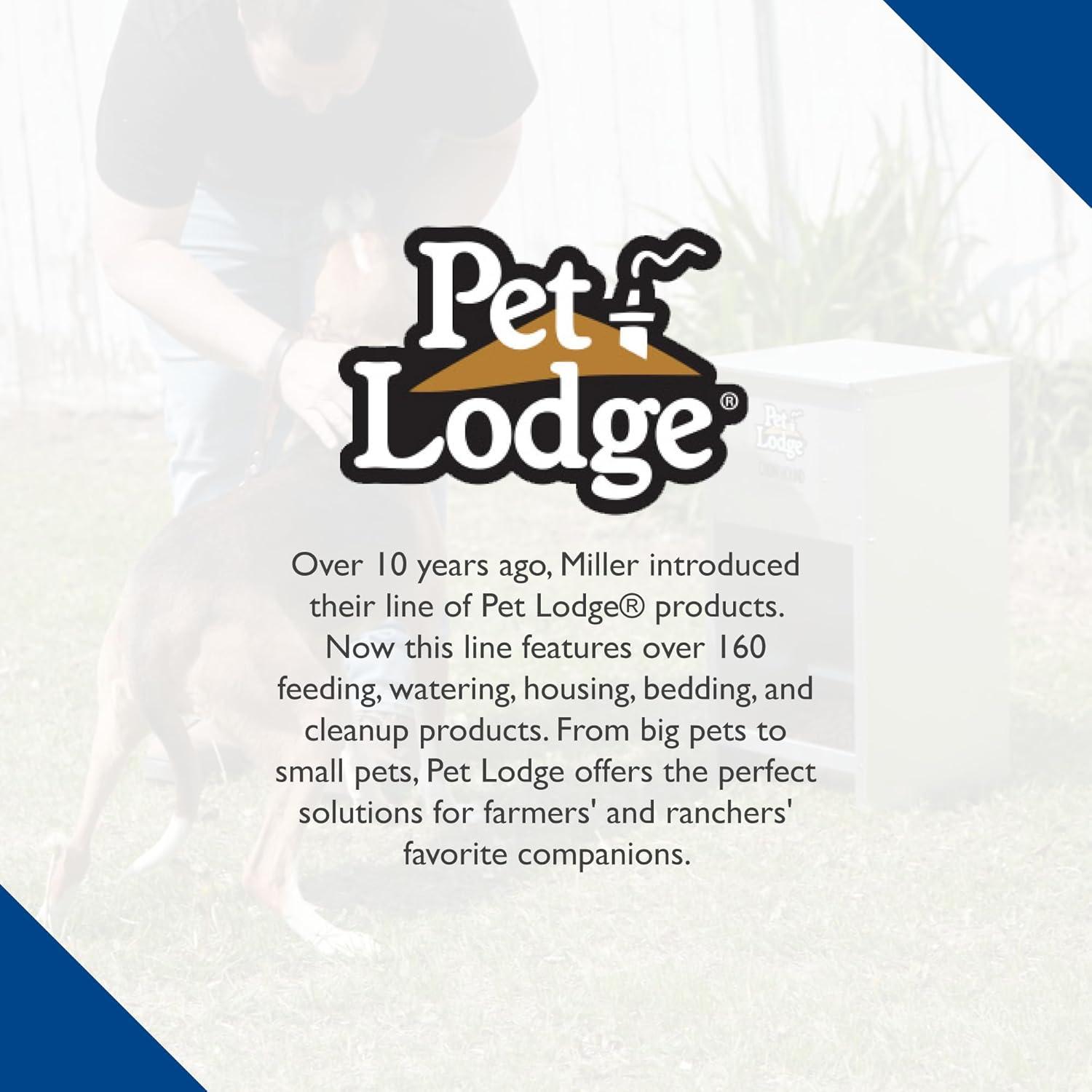 Little Giant Pet Lodge Dry Food Automatic Steel Dog Feeder Chow Hound 25 Pound Capacity