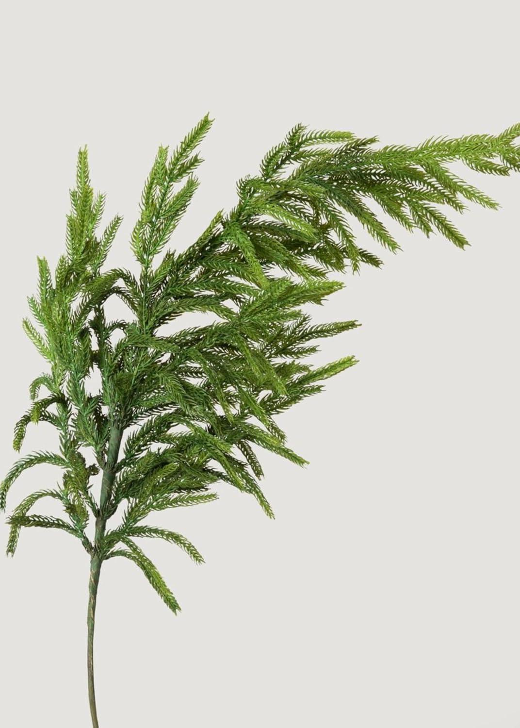 Afloral Real Touch Norfolk Pine Branch - 36"