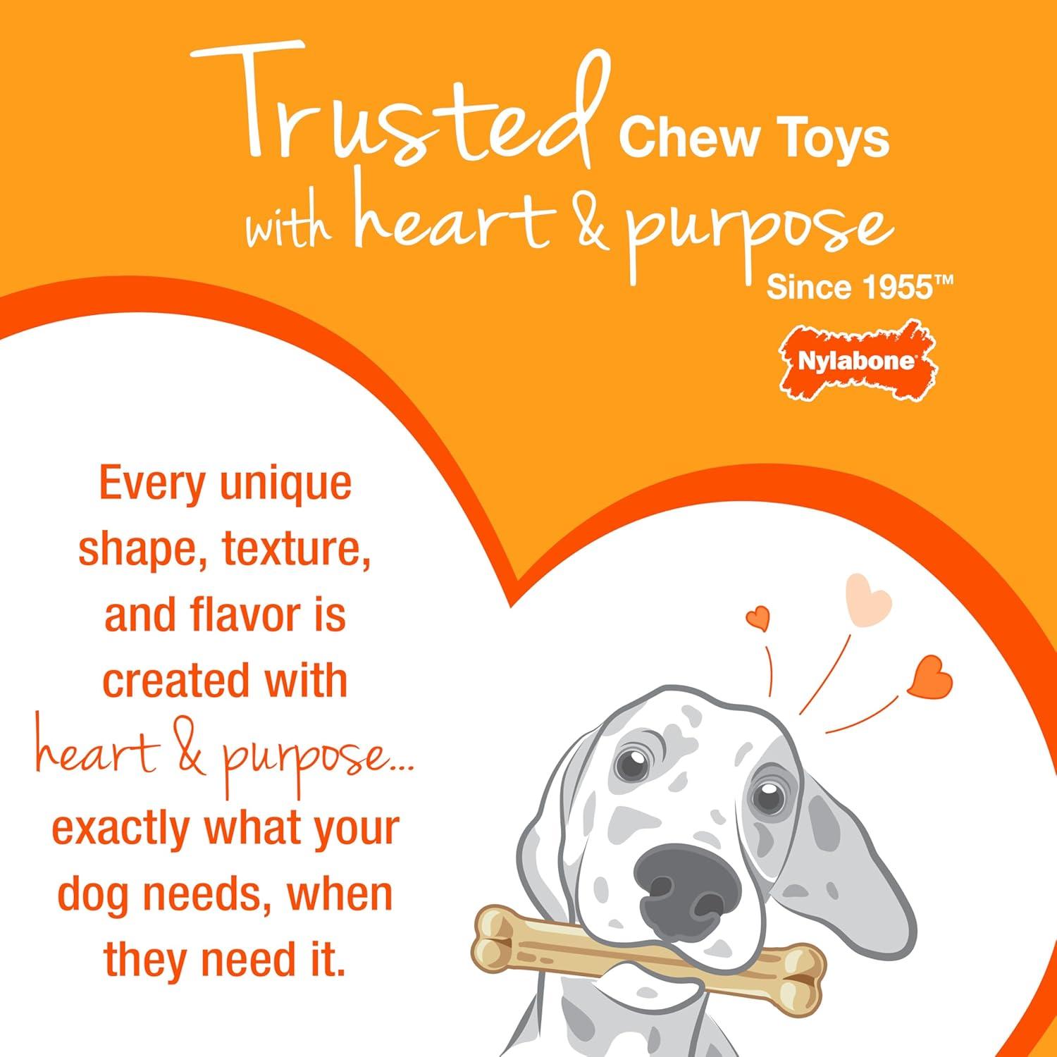 Nylabone Dura Chew Dog Bone - Original Flavor(Souper)