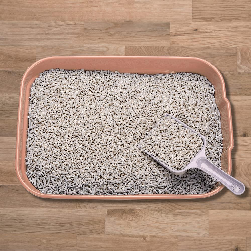 Kitty Litter Box Starter Kit - Small Cat Litter Pan Without Lid, Litter Mat, Scoop and Bowl for Kitten Within 3 Months (PinkScoop Set)