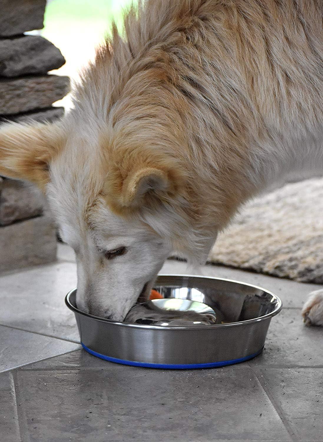 OurPets DuraPet Slow Feed Premium Stainless Steel Dog Bowl, Large (6.0 Cups), Silver