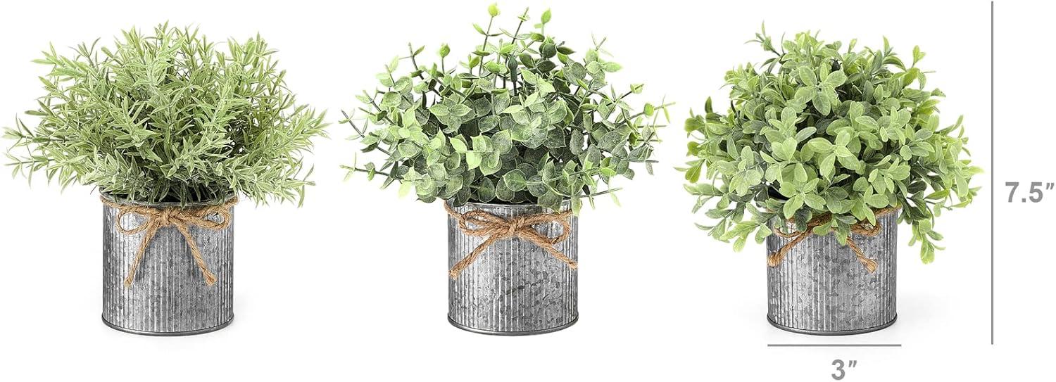 Set of 3 Green Faux Boxwood and Eucalyptus Tabletop Centerpieces