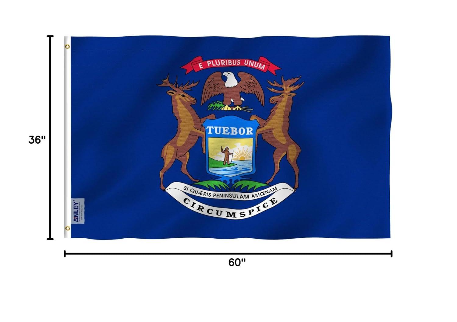 ANLEY Michigan State 2-Sided Polyester 36 x 60 in. House Flag