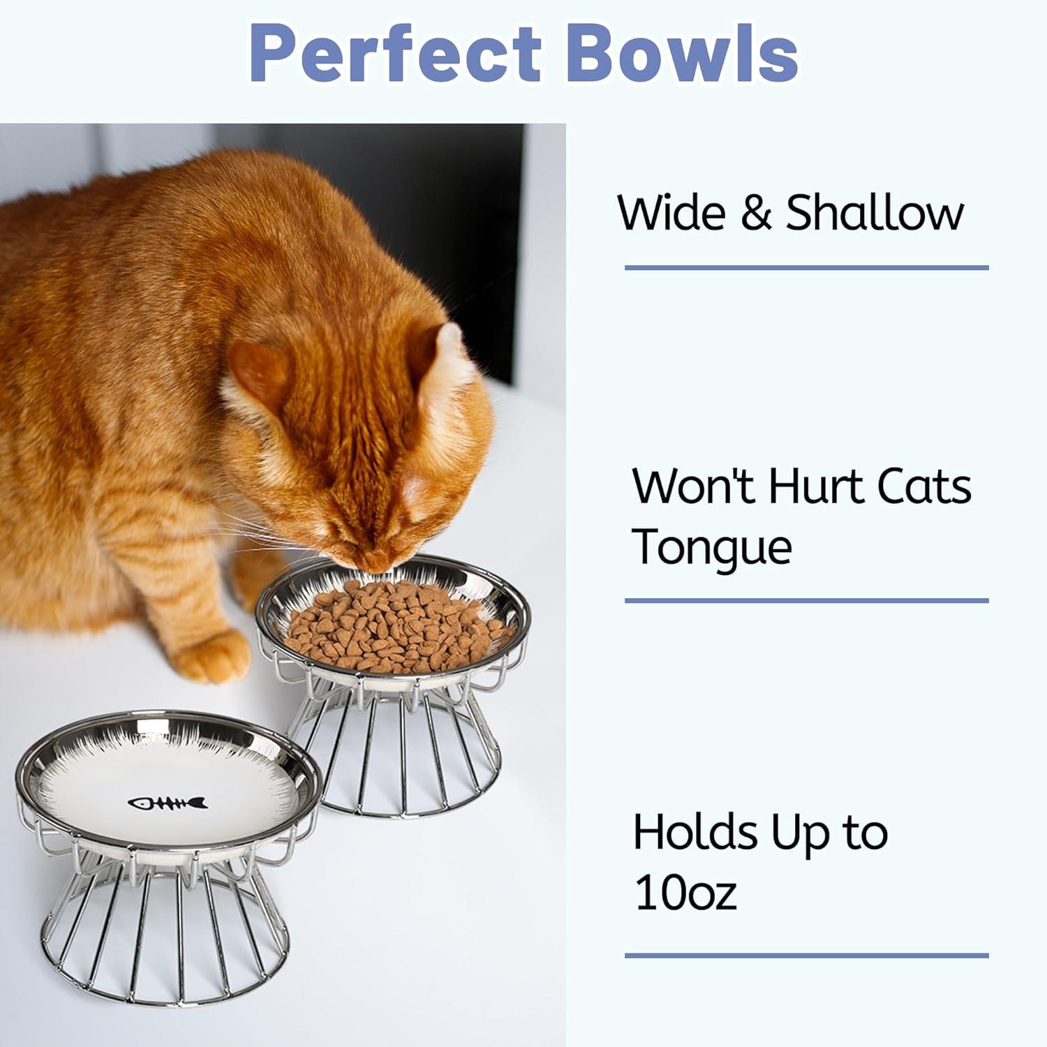 Cat Bowls, Elevated Cat Bowl, Raised Ceramic Dish with Metal Stand, Pet Water or Food Feeding Station for Indoor Cats, Kitten, Puppies and Small Dogs, Dishwasher Safe