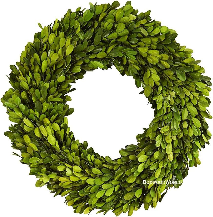 Boxwood Wreath 14 inch Preserved Nature Boxwood Wreath Home Decor Stay Fresh for Years Easter Wreath (Boxwood Wreath 14 inch)