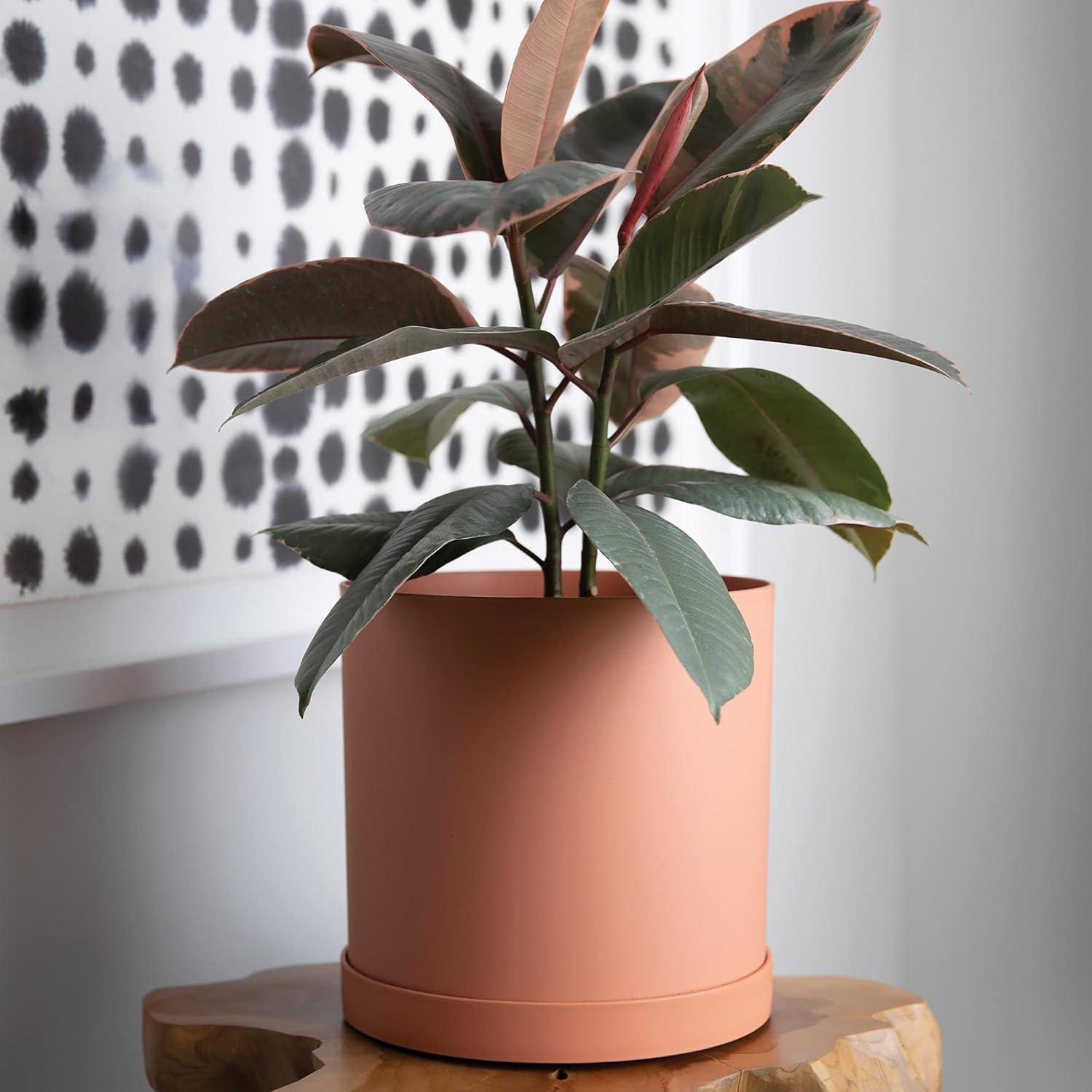 Bloem 10-in Mathers Resin Planter with Saucer - Muted Terra Cotta Color