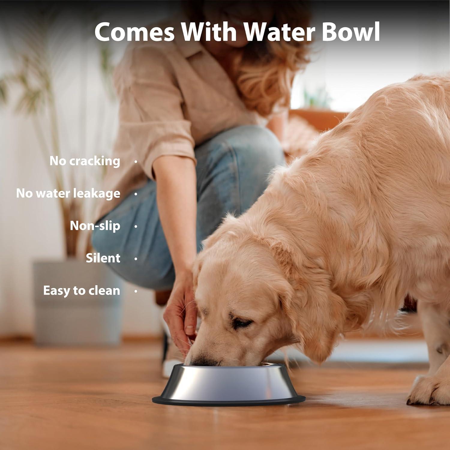 Stainless Steel Non-Slip Slow Feeder Dog Bowls Set