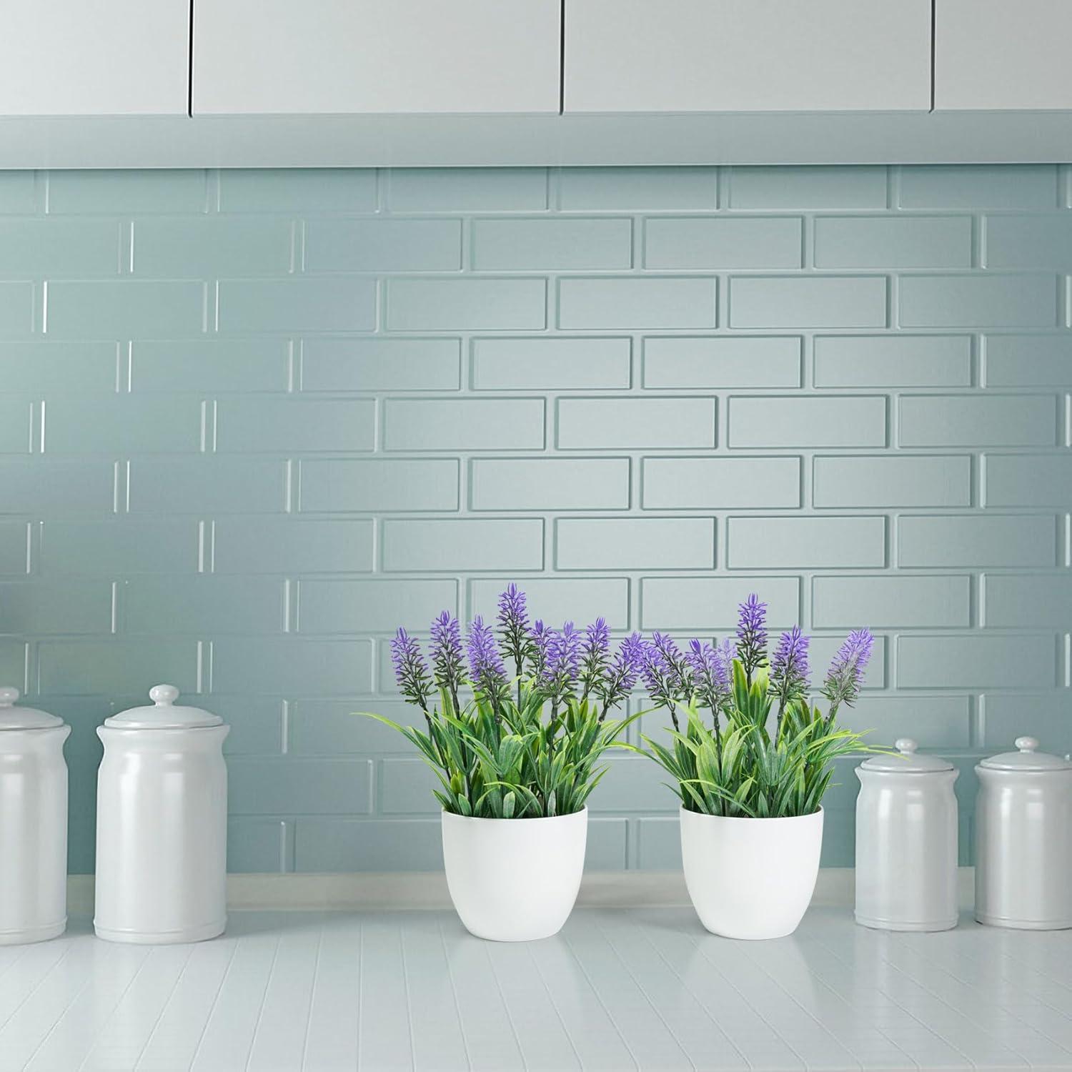 Small Potted Lavender Plants in White Plastic Pots