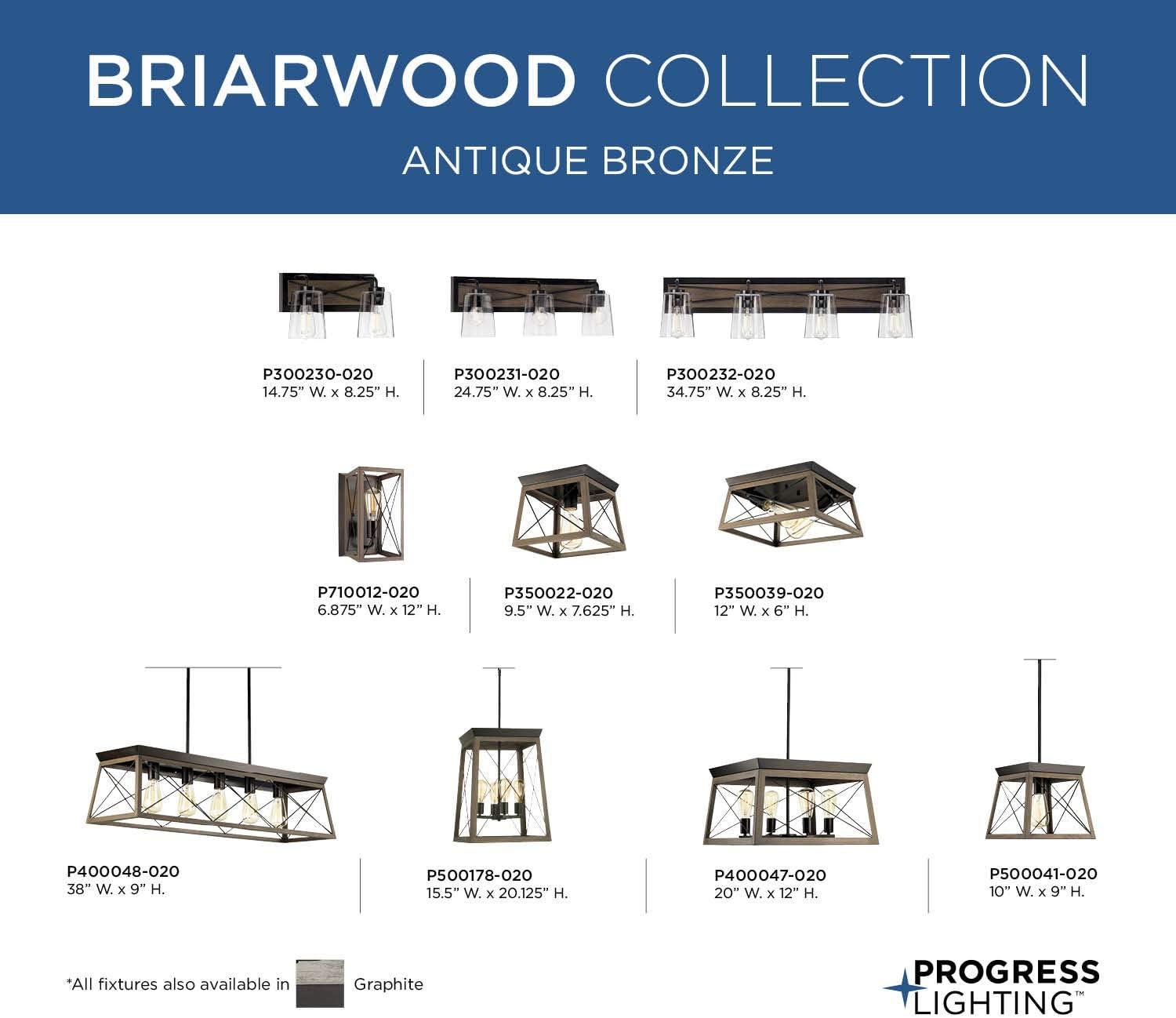 Progress Lighting Briarwood 4-Light Bath Vanity in Antique Bronze with Clear Glass Shades