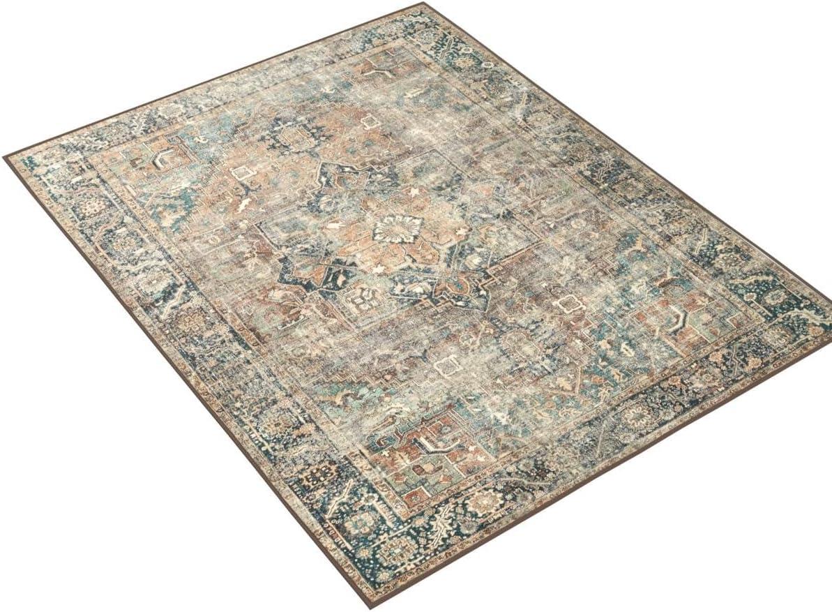 Loloi Margot Terracotta / Lagoon Area Rug feat. Cloudpile