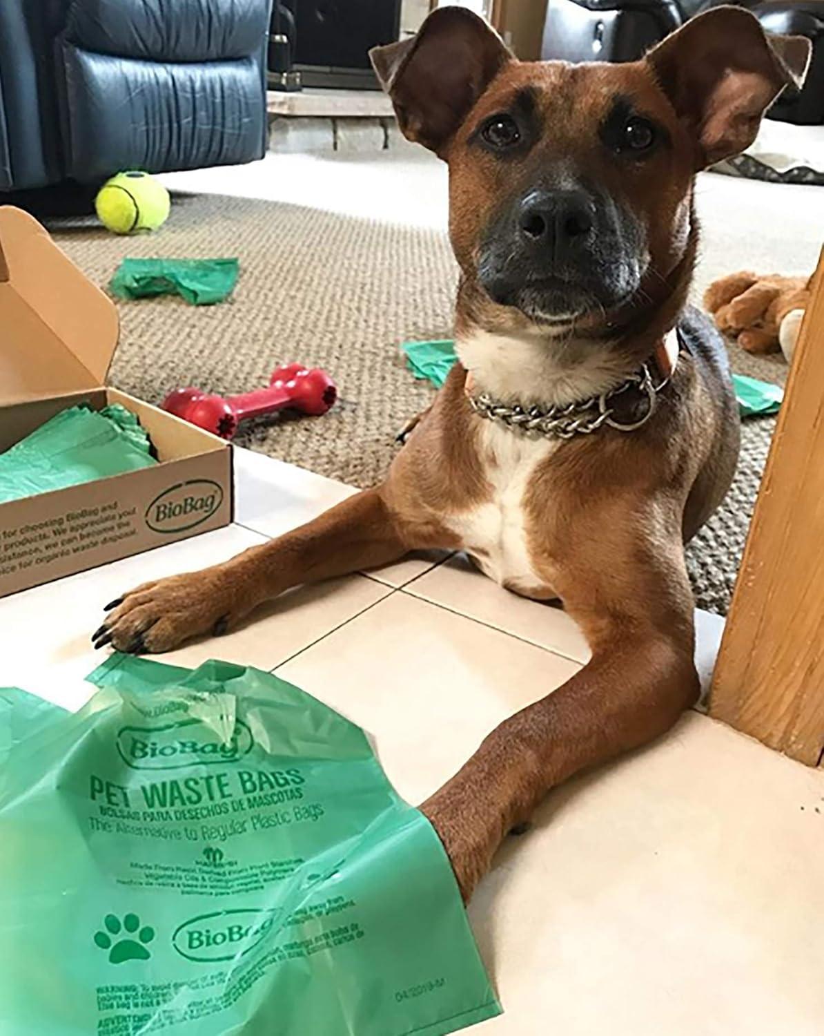 Biobag Standard Size Dog Waste Bag with Handles (150ct)