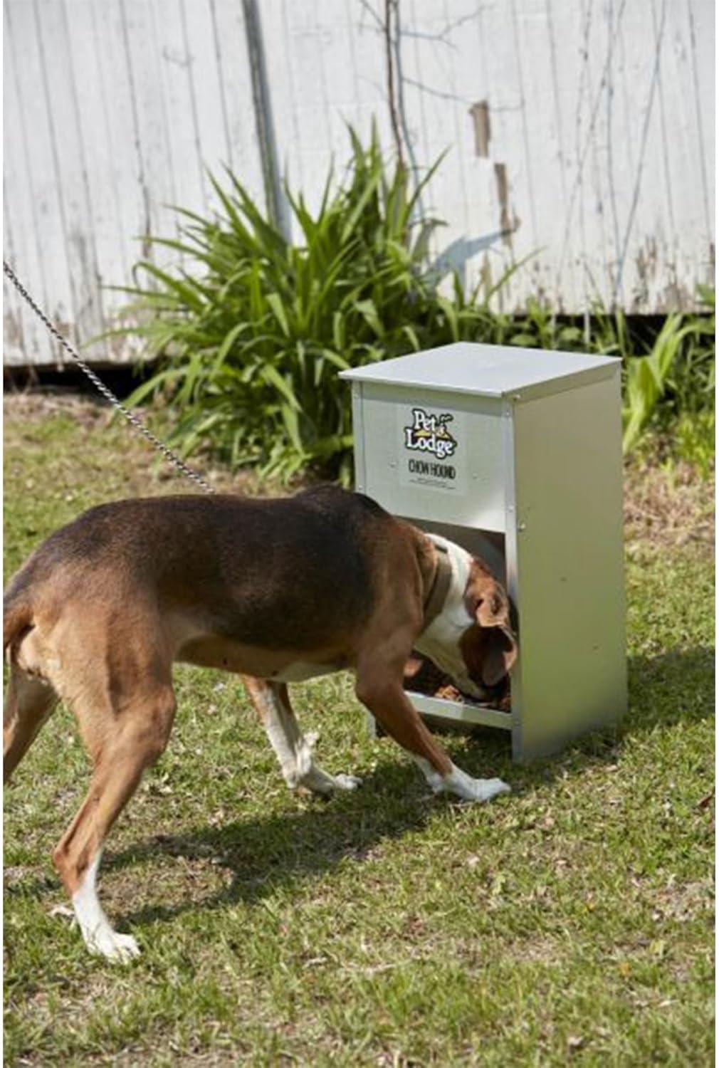 Pet Lodge Dry Food Automatic Steel Dog Feeder Chow Hound 25 Pound Capacity