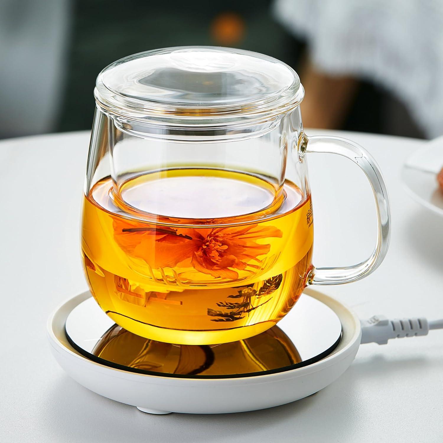 Large Clear Borosilicate Glass Tea Cup with Infuser and Lid, 17.6oz - For Loose Leaf Tea Enjoyment Teacup Mug