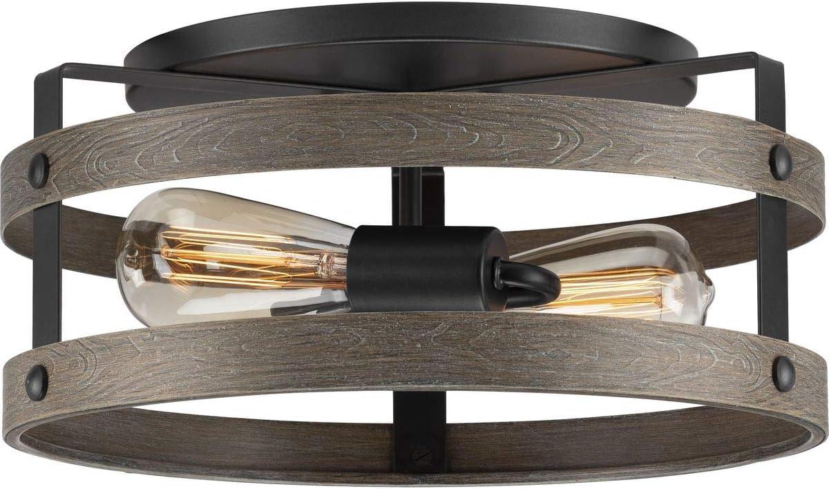 Progress Lighting Gulliver 2-Light Flush Mount Ceiling Light, Graphite, Open-Cage Design, Faux-Wood Finish