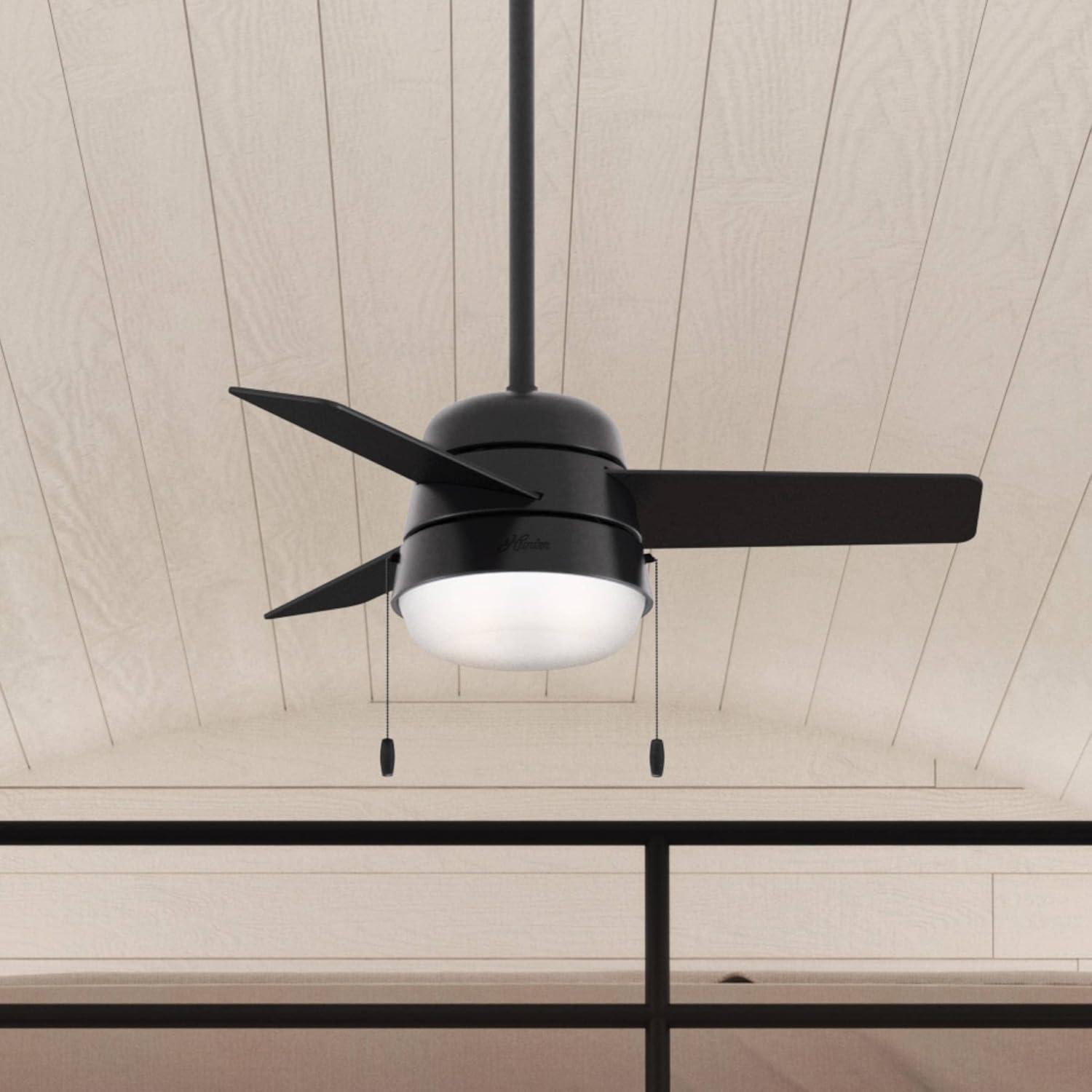 Aker 36" 3 - Blade Standard Ceiling Fan with Lights and Pull Chains