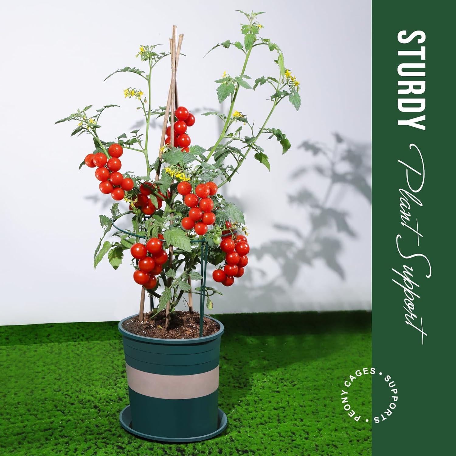 LEOBRO Plant Support Stakes, 6PCS Plant Stakes, Plant Support, Garden Stakes, Peony Cages and Supports, Plant Supports for Outdoor Plants, Monstera Tomato Hydrangea Support Cage, 9.8" W x 15.7" H C48