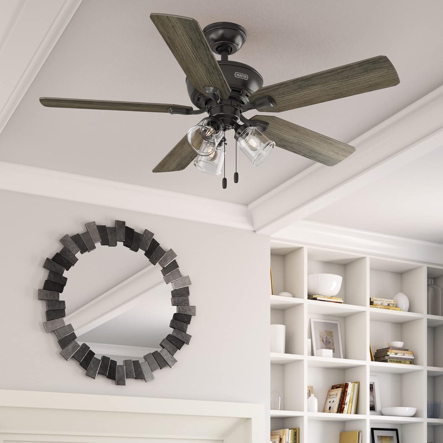 Hunter Fan 52" Rosner 5 - Blade Ceiling Fan With Lights and Pull Chains