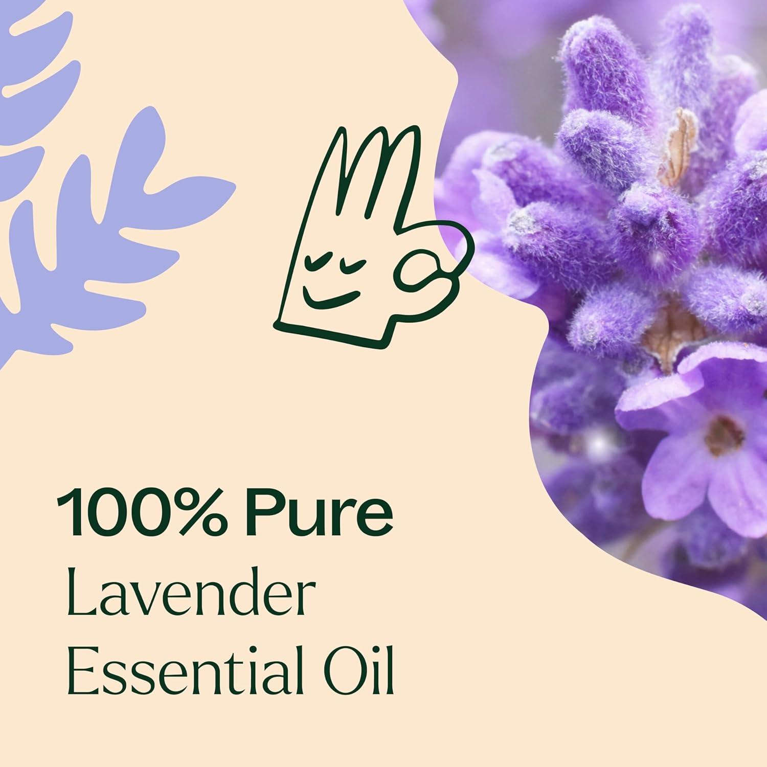 Plant Therapy Essential Oil - Lavender