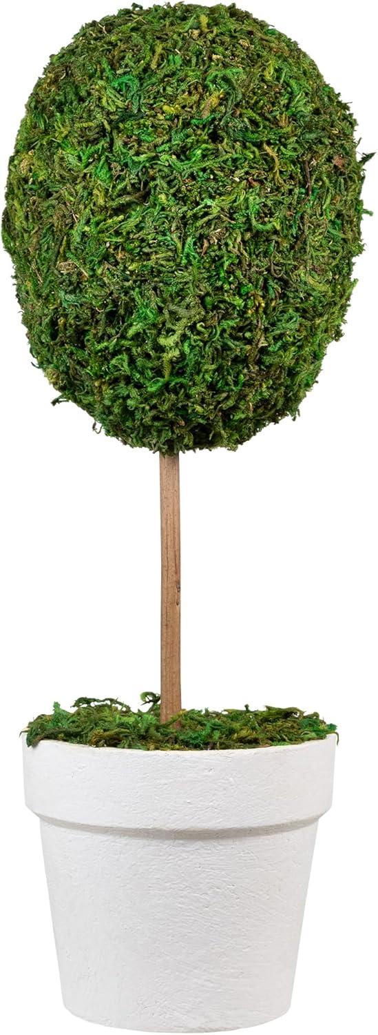 Northlight Seasonal Green Reindeer Moss Ball Potted Artificial Spring Topiary Tree