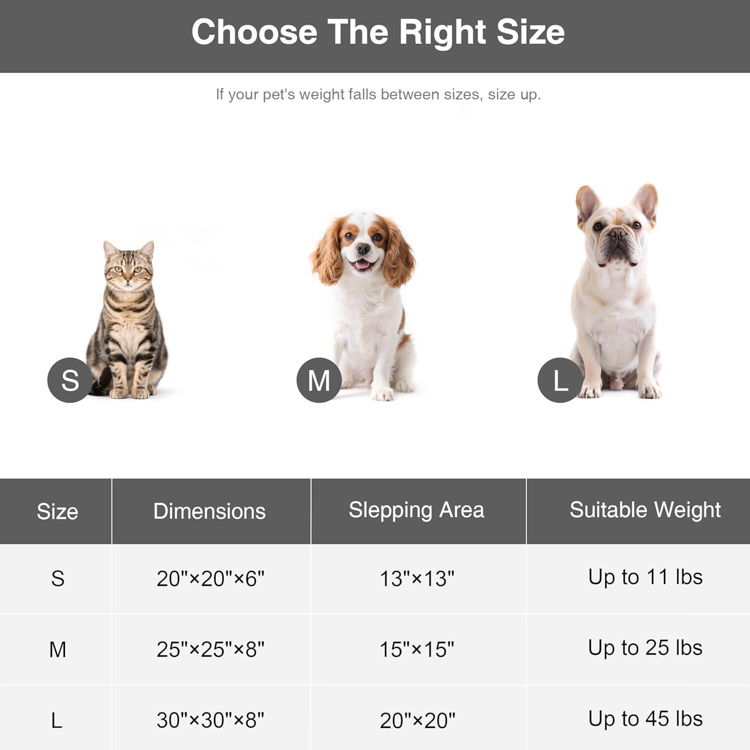 Archie & Oscar™ Round Donut Cat And Dog Cushion Bed, 20In Pet Bed For Cats Or Small Dogs, Anti-Slip & Water-Resistant Bottom, Super Soft Durable Fabric Pet Beds, Washable Luxury Cat & Dog Bed