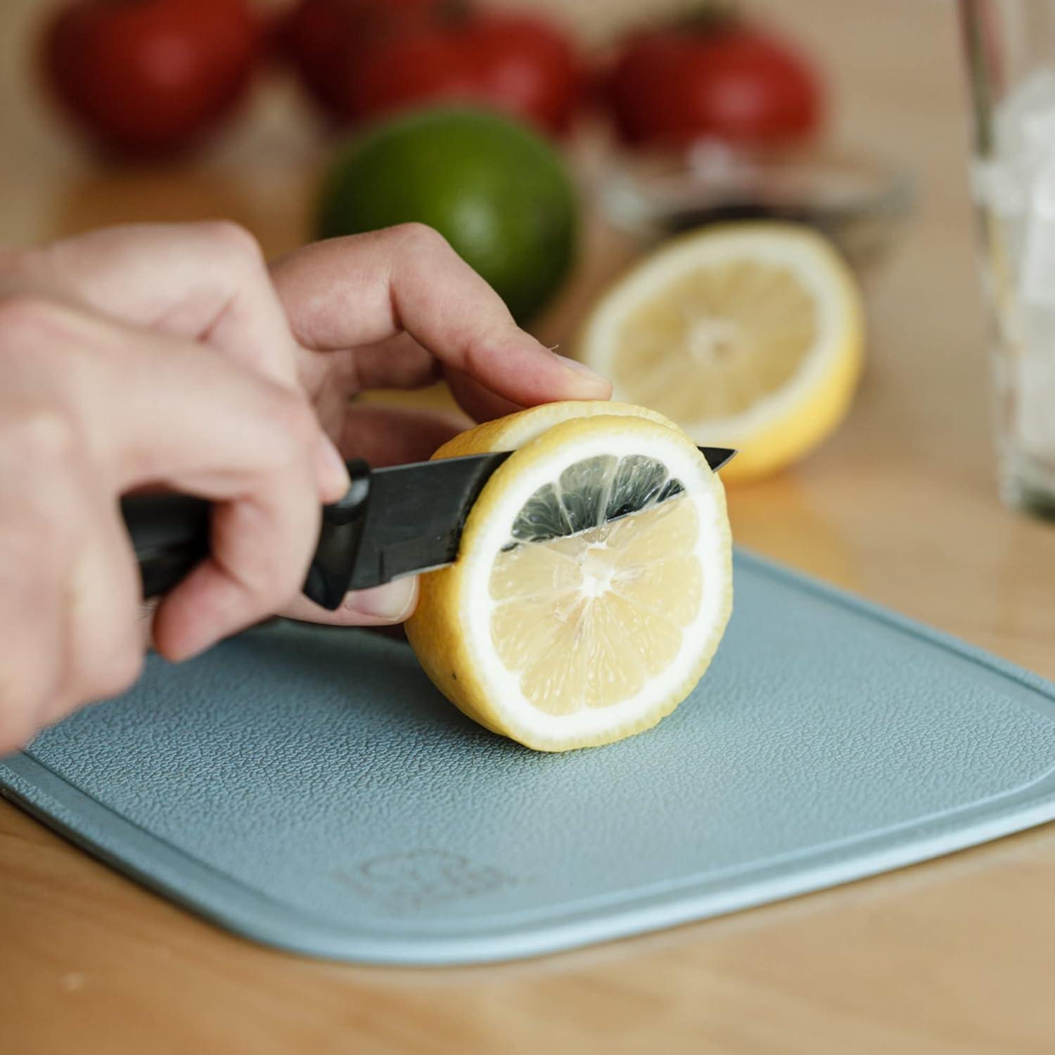 Blue Wheat Straw Cutting Board and Knife Set, 10 x 7.5 Inch