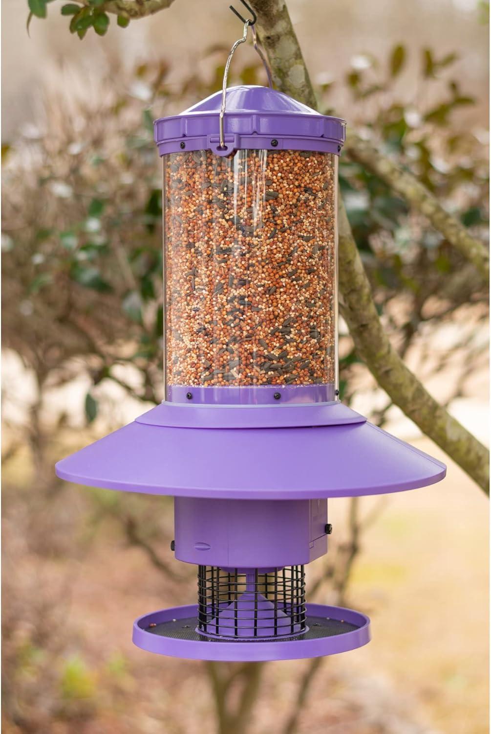 Wingscapes Autofeeder Squirrel-Resistant Bird Feeder with X-Large Capacity and Timer Control Settings, Wisteria Purple