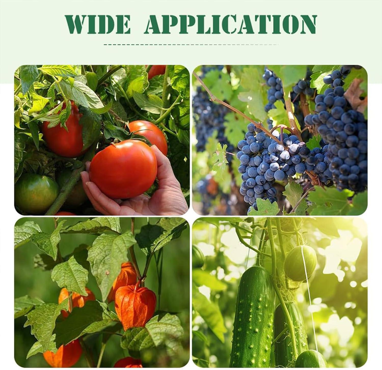 Plant Support Clips, Plastic Plant Clips for Climbing Plants, Reusable Garden Clips for Tomato and Other Vine Plants, Trellis Clips to Grow Upright Makes Plants Healthier (Green, 100pcs)