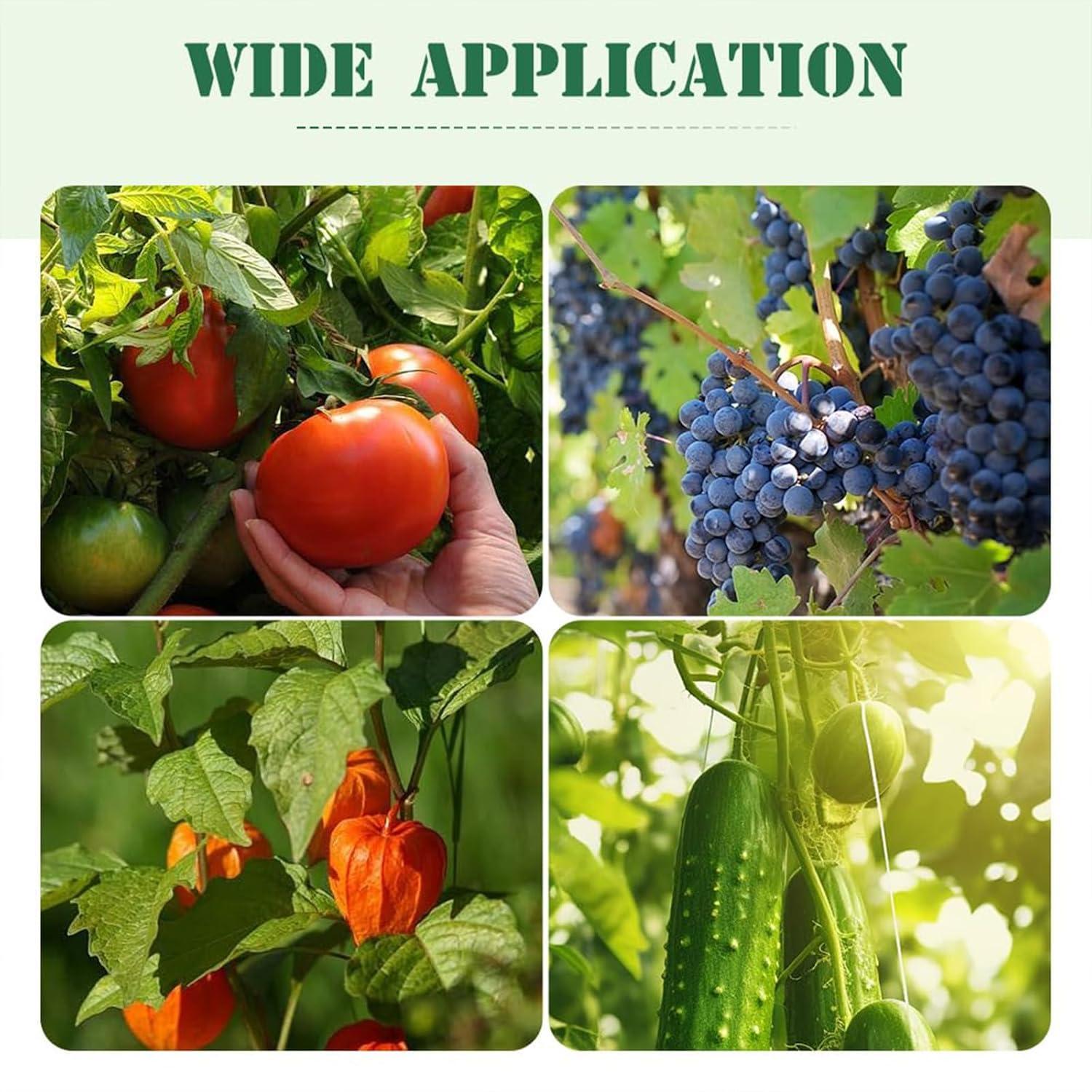 Plant Support Clips, Plastic Plant Clips for Climbing Plants, Reusable Garden Clips for Tomato and Other Vine Plants, Trellis Clips to Grow Upright Makes Plants Healthier (Green, 100pcs)