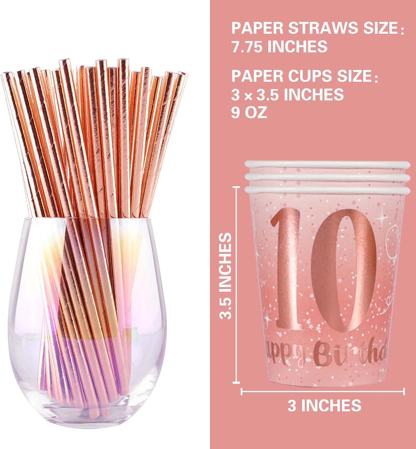 Rose Gold 10th Birthday Party Supplies Set for 24 Guests