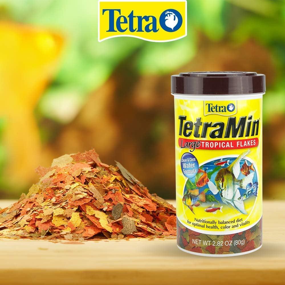 Tetra TetraMin XL Tropical Flakes, Nutritionally Balanced Fish Food, 2.82 oz