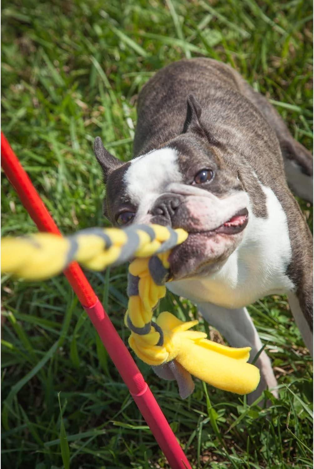 Big Red and Blue Outdoor Tether Tug Kit for Large Dogs