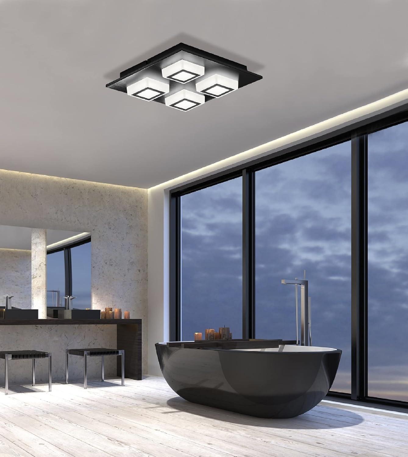 Masiano Black and White Aluminum LED Ceiling Light