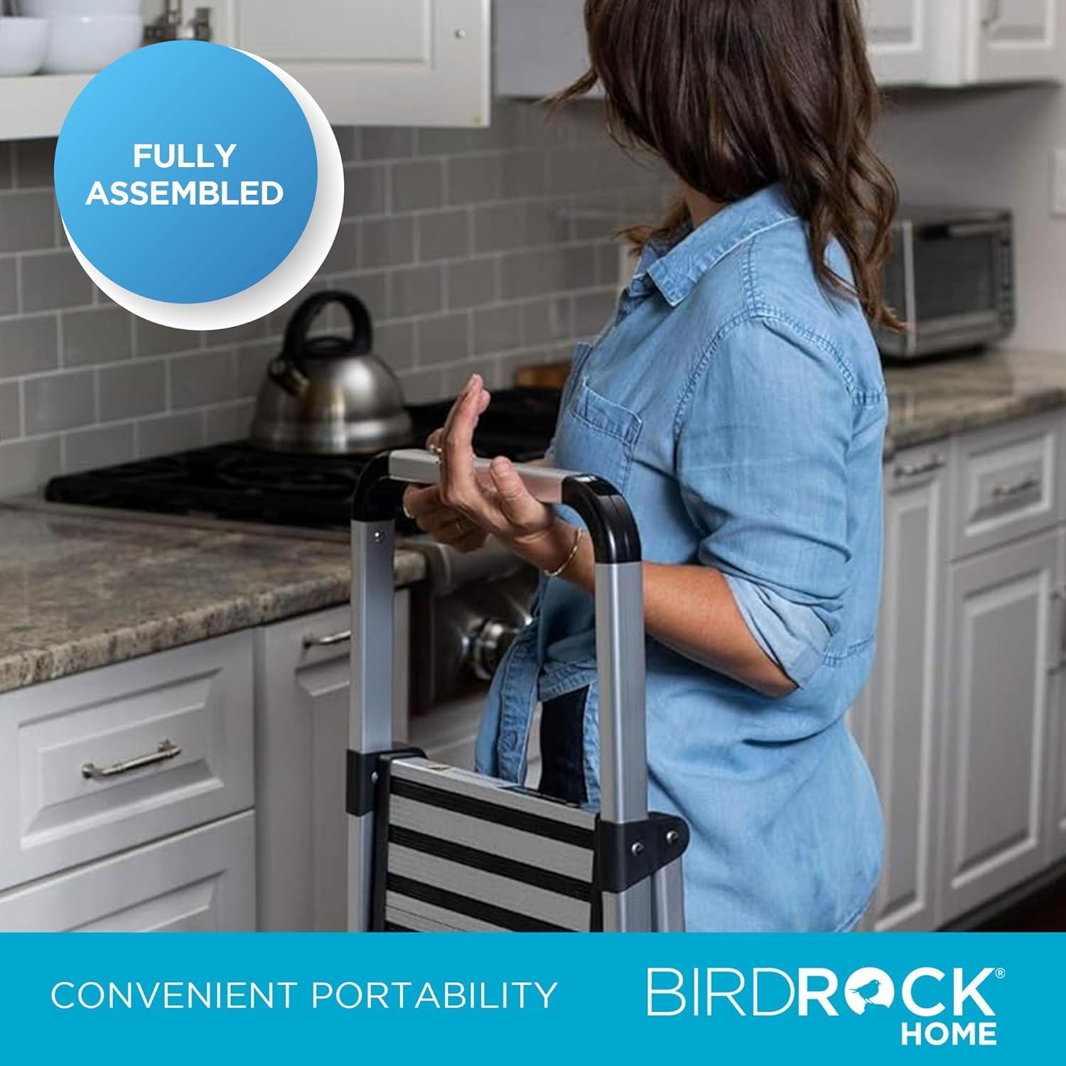 BirdRock Home 2 - Step Plastic Folding Step Ladder