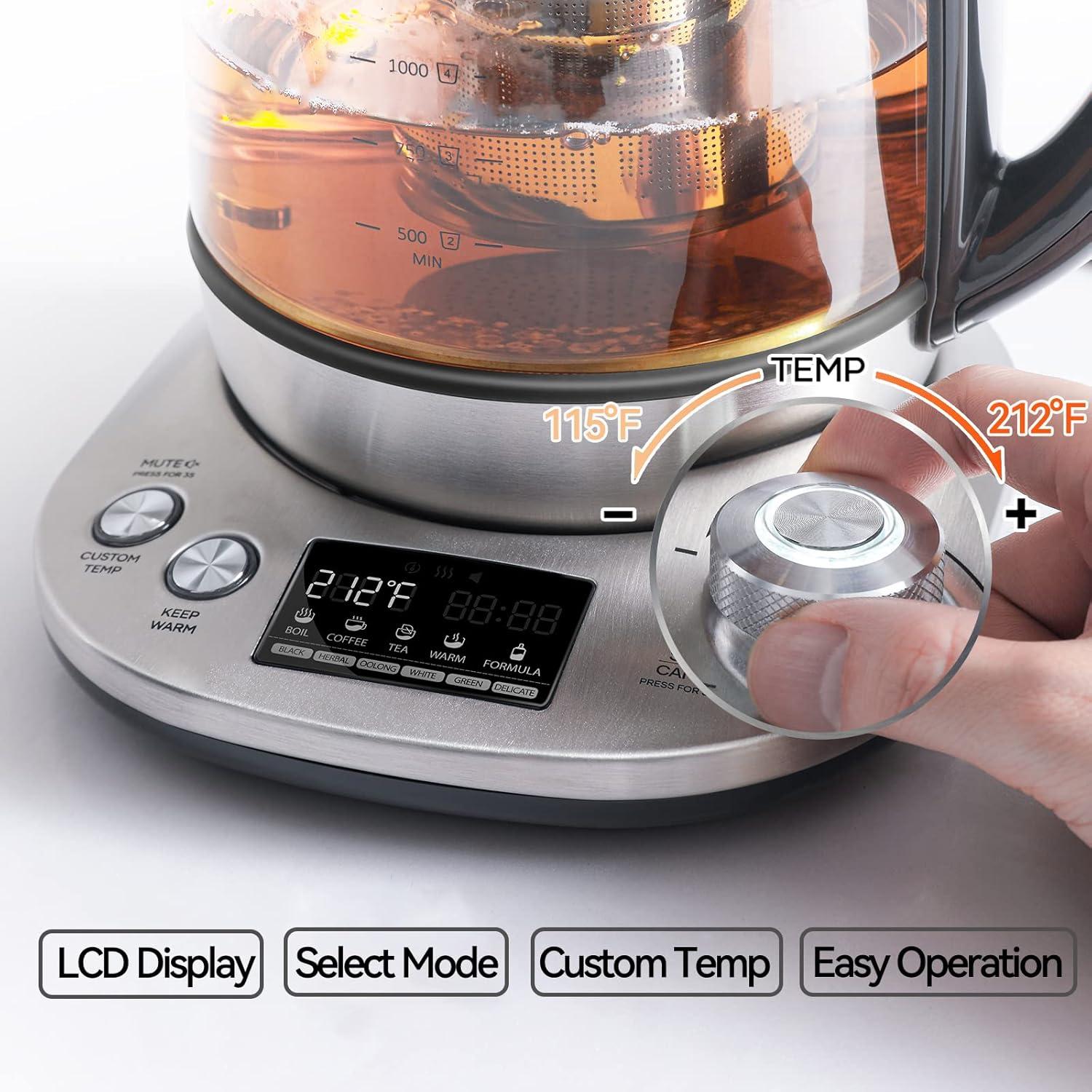 Stainless Steel Borosilicate Glass Electric Tea Kettle with Infuser