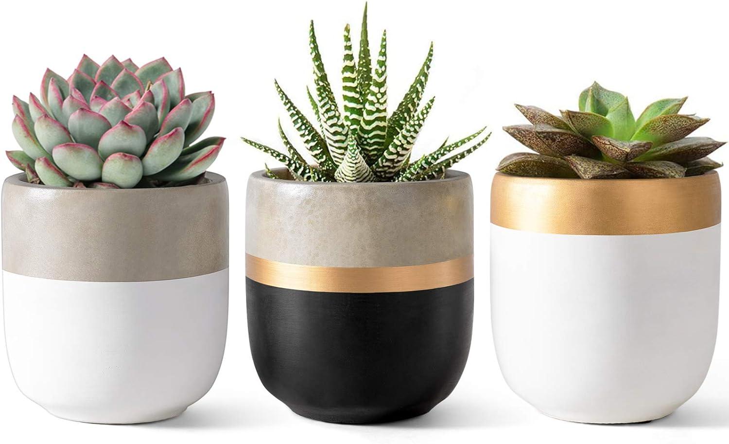 Set of 3 Modern 4-Inch Cement Succulent Planter Pots