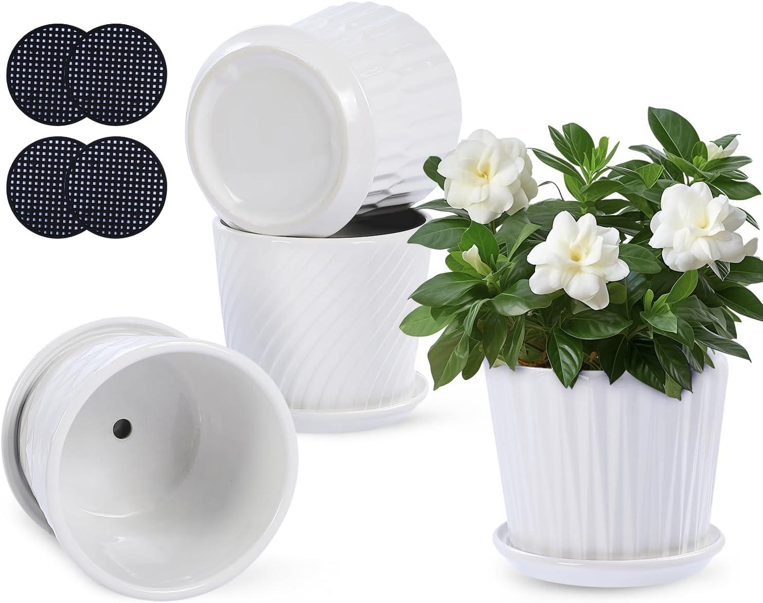 Plant Pots - 5.5 Inch Cylinder Ceramic Planters with Connected Saucer, Pots for Succuelnt and Little Snake Plants, Set of 4, White