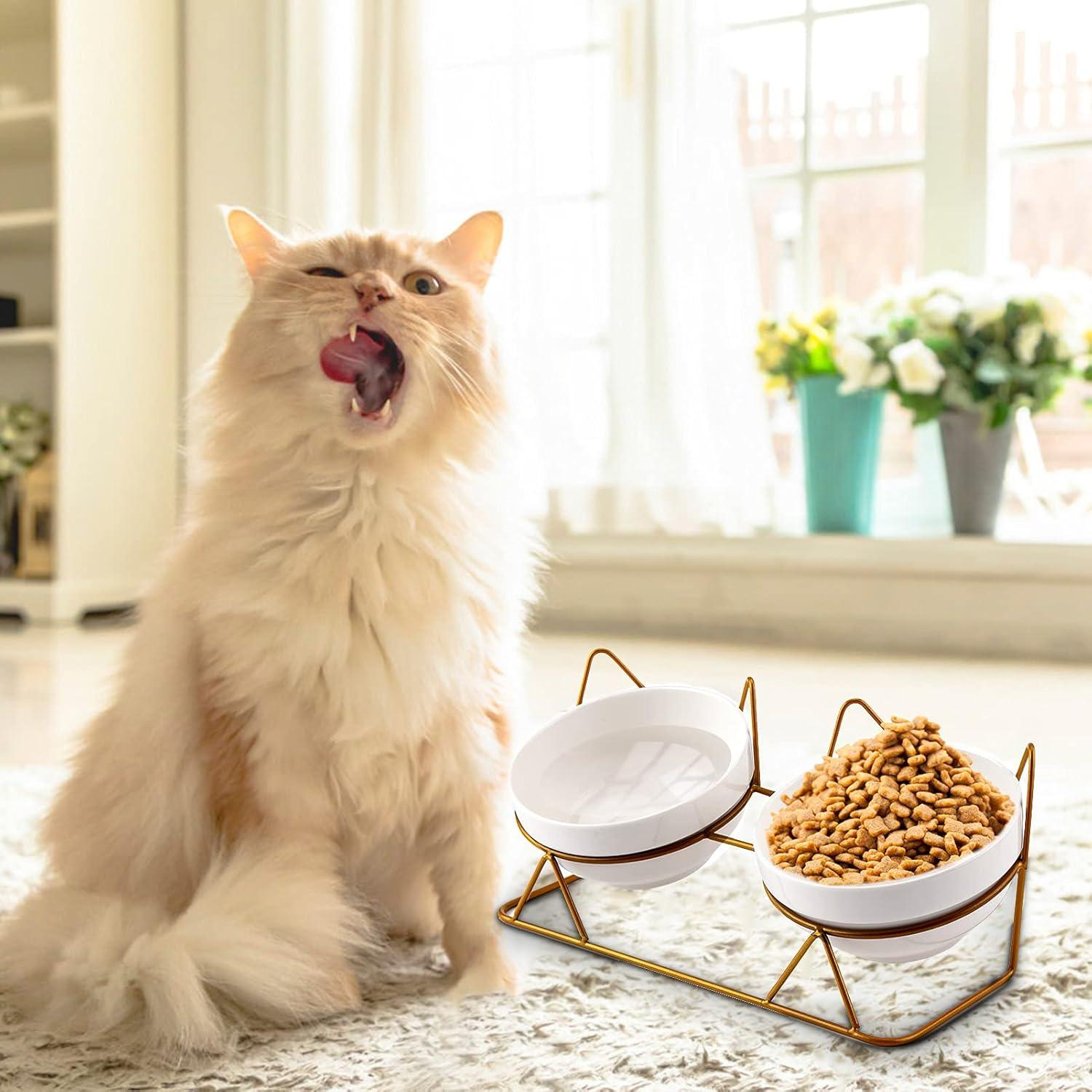 Double White Ceramic Pet Bowls with Gold Tilted Stand