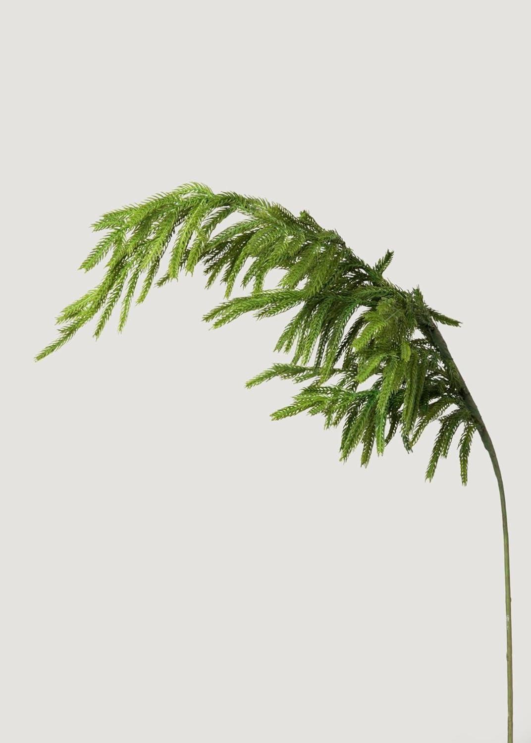Afloral Real Touch Norfolk Pine Branch - 36"