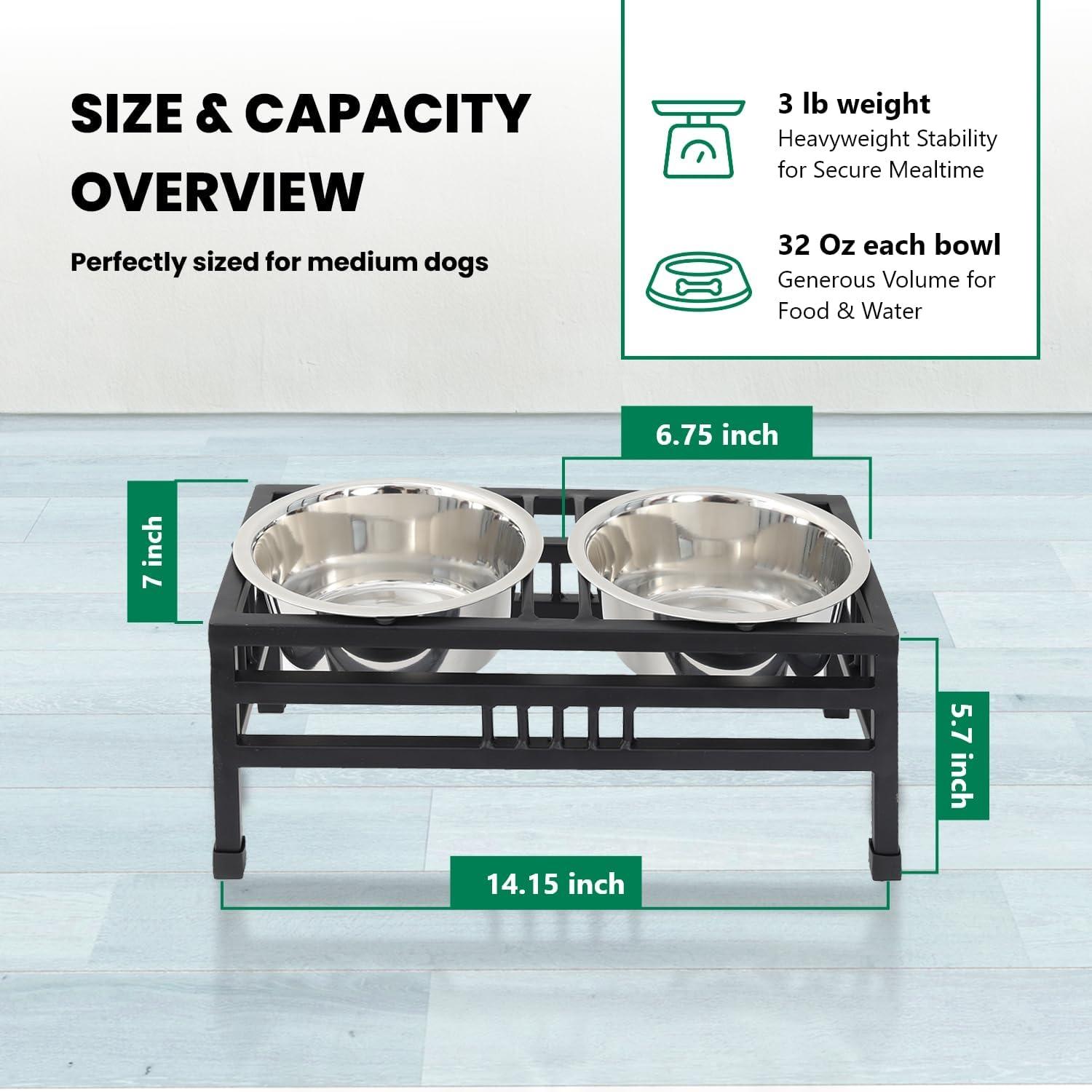 Iconic Pet Elevated Rectangular pet double diner - Medium - 32 Oz