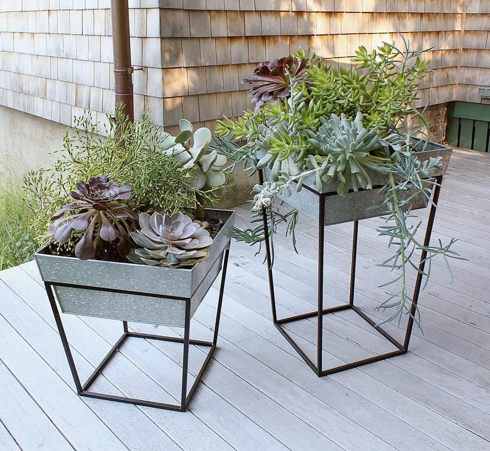 Scandinavian Galvanized Metal Plant Stand with Black Frame