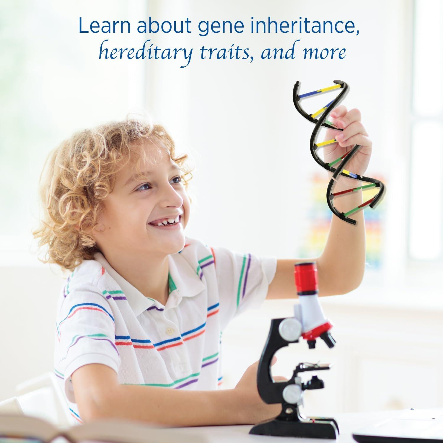 Thames & Kosmos Genetics & DNA Lab