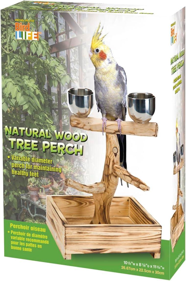 Penn-Plax Bird-Life Natural Wood Tree Perch for Small and Medium Birds, Brown